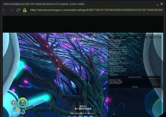 深海迷航蟹鱿如何对抗美丽水世界蟹鱿(以游戏为主)