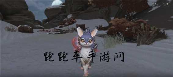 阴蛟拓印搭配怎么选择?
