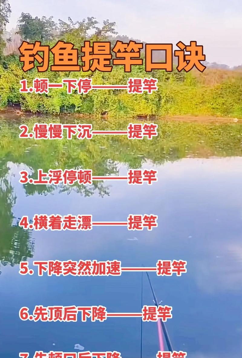 获得鱼竿后如何使用？有什么特别的钓鱼技巧吗？