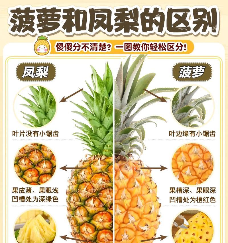 菠萝中单玩法技巧有哪些？如何玩好菠萝中单？