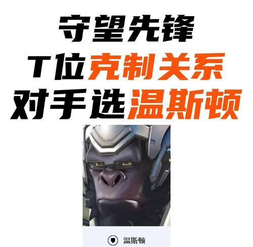 守望先锋中猩猩的防空策略是什么?