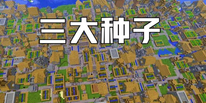 我的世界中种子的种植方法是什么?