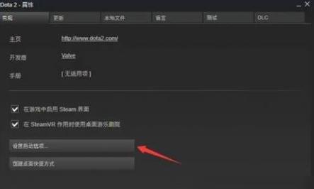在dota2中如何设置steam?
