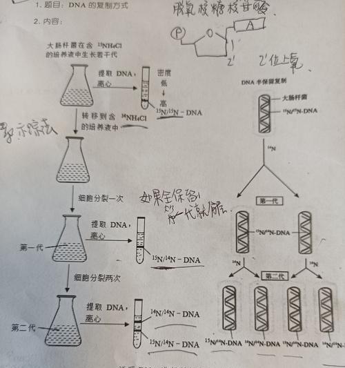 《细胞分裂3》游戏分支路线追加攻略（解锁全新游戏体验）