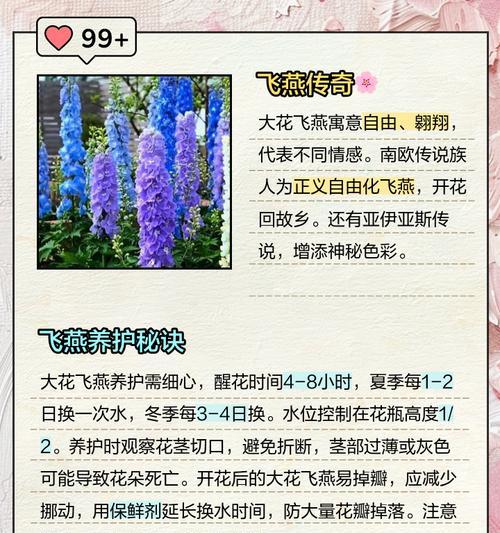 大话西游情花种植飞行技巧？