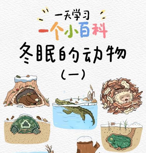 《以人类黎明动物冻死怎么办过冬方法》（从游戏中学会如何在极寒环境下生存）